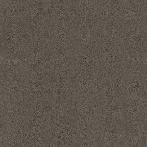 8204_22_additional image_new.jpg image